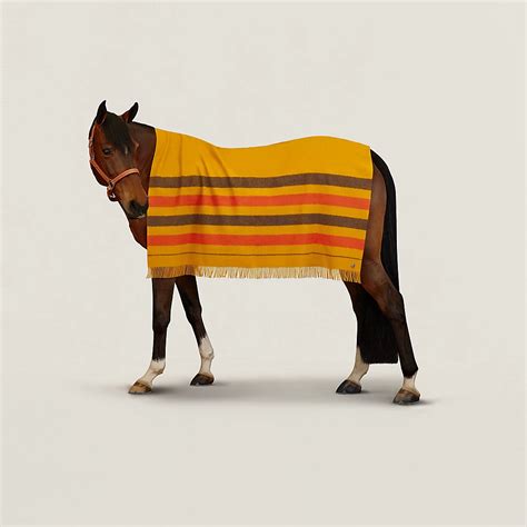 couverture hermes prix|Maison, plein air et équitation Plaids et coussins .